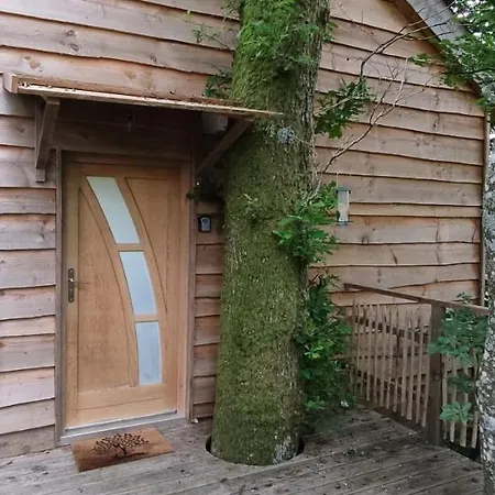La Pat' De L'ours Chalet Raon-aux-Bois