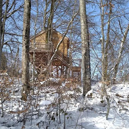 La Pat' De L'ours * Raon-aux-Bois