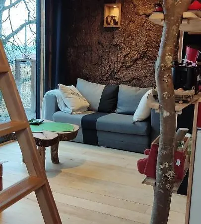 La Pat' De L'ours Alpesi faház Raon-aux-Bois