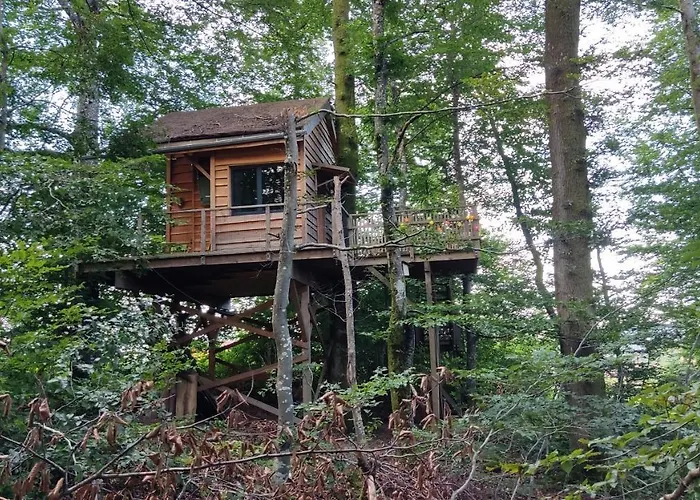 La Pat' De L'ours Raon-aux-Bois